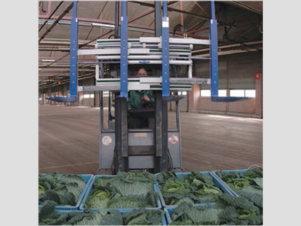 太阳城官网·tyc(中国集团)有限公司